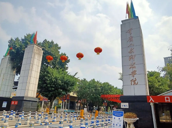 2024年重庆人文科技学院音乐舞蹈类招生章程及录取原则 2024年重庆人文科技学院音乐舞蹈类招生章程及录取原则
