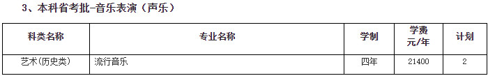 2024年南京传媒学院音乐舞蹈类招生章程及各省招生计划