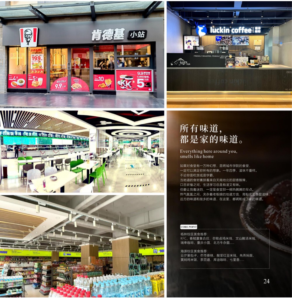 2024年昆明城市学院音乐舞蹈类本科招生简章 2024年昆明城市学院音乐舞蹈类本科招生简章