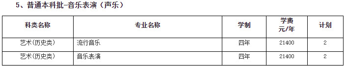 2024年南京传媒学院音乐舞蹈类招生章程及各省招生计划