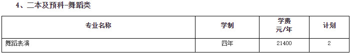 2024年南京传媒学院音乐舞蹈类招生章程及各省招生计划