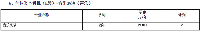 2024年南京传媒学院音乐舞蹈类招生章程及各省招生计划