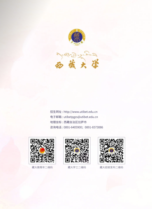 2024年西藏大学音乐舞蹈类本科招生报考指南 2024年西藏大学音乐舞蹈类本科招生报考指南