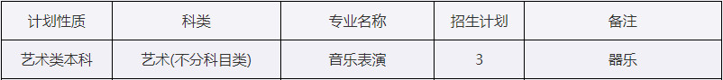 2024年西安外事学院音乐类专业招生计划 2024年西安外事学院音乐类专业招生计划