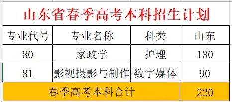 2024年聊城大学东昌学院舞蹈学(师范类)、音乐表演招生简章（招生计划、学费标准）