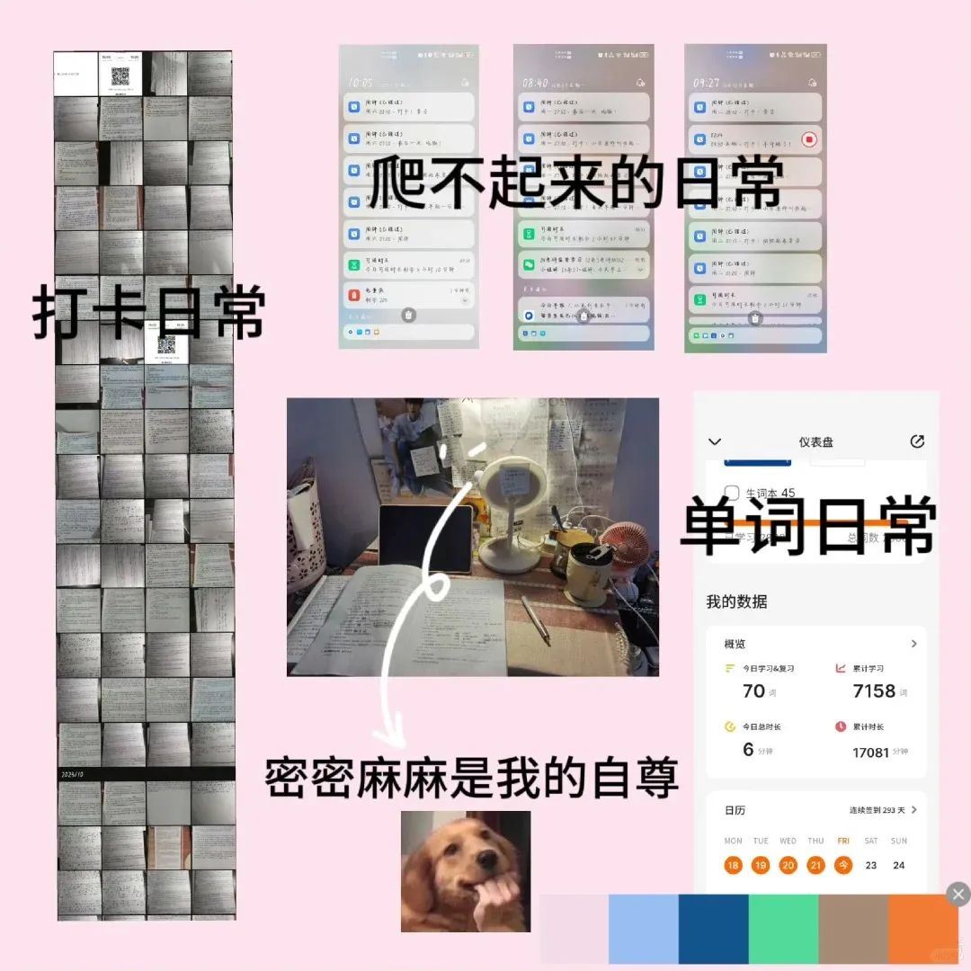 【舞蹈考研成功学员经验分享】总分400+，专业课140+！她说行动是解决焦虑最好的方式！