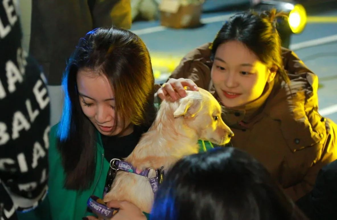 游园会，创意市集，狂欢派对…舞研惊奇夜现场回顾！
