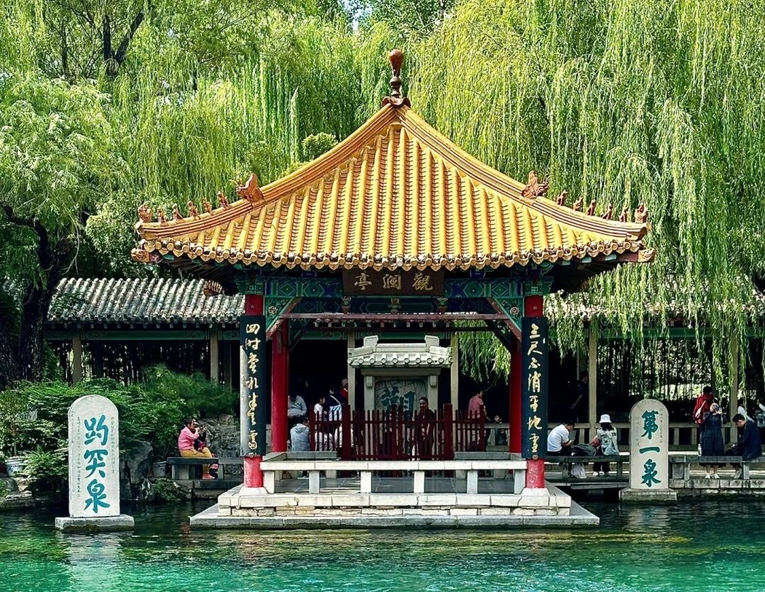 山东舞研【全国大学生舞蹈集训营】重磅来袭丨限时一口价3980元！多人团报立享福利~