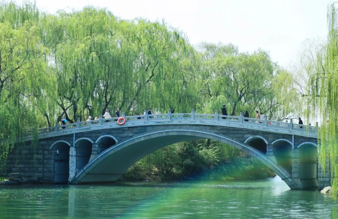 山东舞研【全国大学生舞蹈集训营】重磅来袭丨限时一口价3980元！多人团报立享福利~