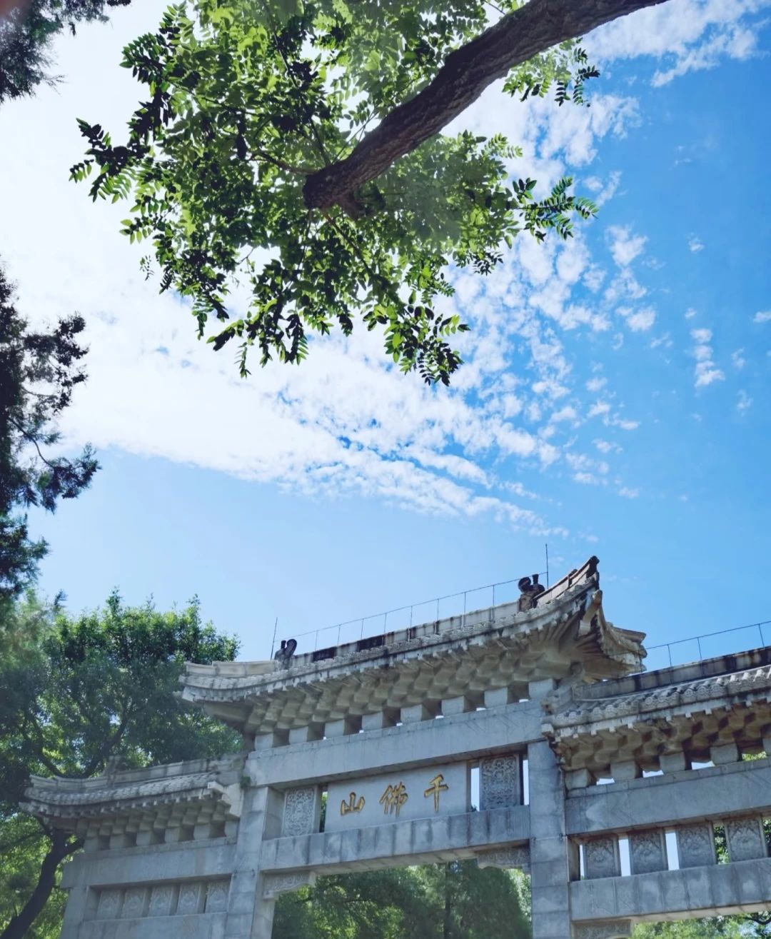 山东舞研【全国大学生舞蹈集训营】重磅来袭丨限时一口价3980元！多人团报立享福利~