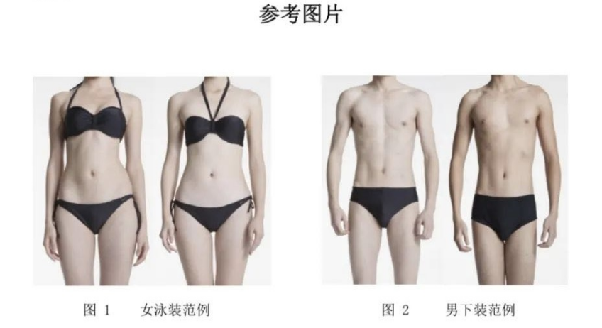 2026年辽宁省普通高等学校招生艺术类专业省统考考试须知