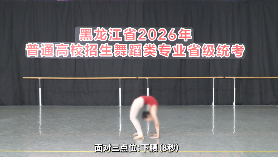 2026年黑龙江省普通高校招生艺术类专业省级统考舞蹈类面试哈尔滨学院考点公告