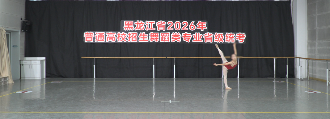 2026年黑龙江省普通高校招生艺术类专业省级统考舞蹈类面试哈尔滨学院考点公告