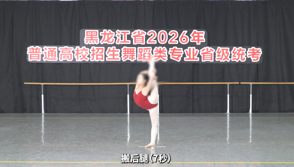 2026年黑龙江省普通高校招生艺术类专业省级统考舞蹈类面试哈尔滨学院考点公告