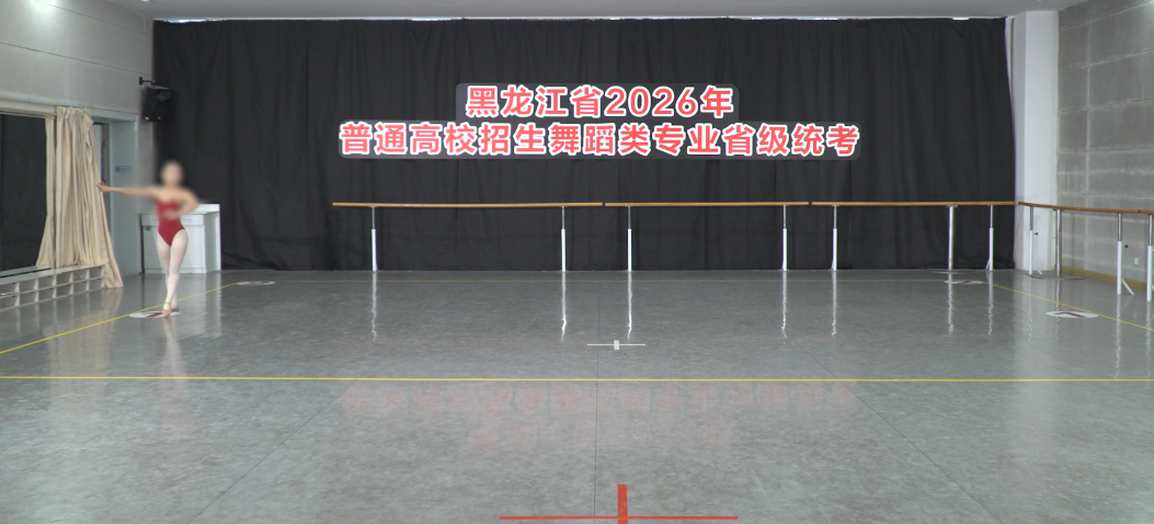 2026年黑龙江省普通高校招生艺术类专业省级统考舞蹈类面试哈尔滨学院考点公告
