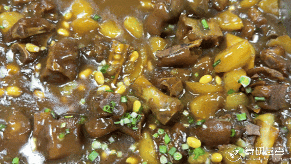 寒假不花冤枉钱！来湖北舞研体验免费试课，让进步不绕路！