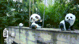 舞研西北总部丨元旦营报到须知