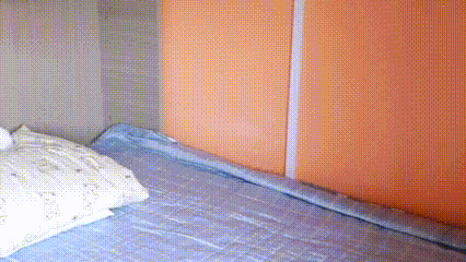 舞研西北总部丨元旦营报到须知