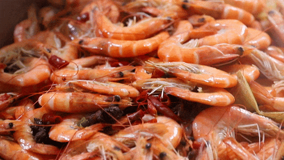 寒假不花冤枉钱！来湖北舞研体验免费试课，让进步不绕路！