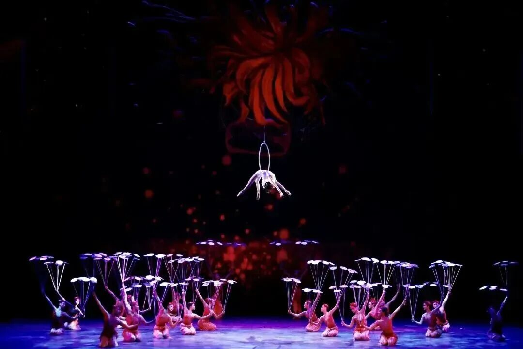 2026年北京市国际艺术学校(北京市杂技学校)招生简章 2026年北京市国际艺术学校(北京市杂技学校)招生简章