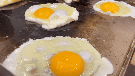 舞研「疯狂星期六」：锁定每月第三周周六，一年仅12次，四大核心课程免费开放！