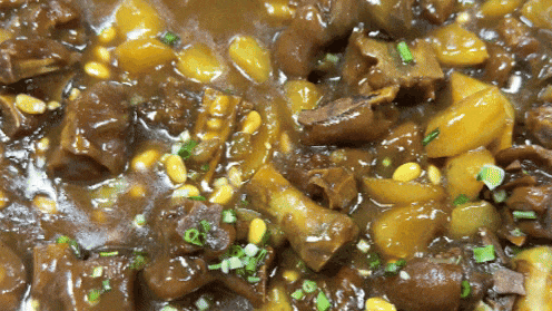 舞研「疯狂星期六」：锁定每月第三周周六，一年仅12次，四大核心课程免费开放！