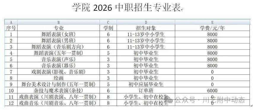 2026年四川艺术职业学院附中招生简章