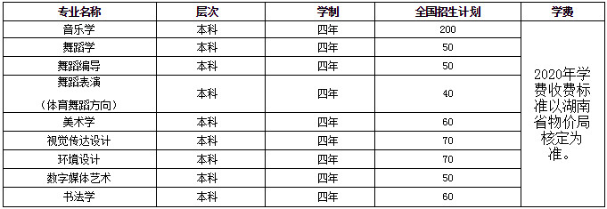 2020年湖南人文科技学院艺术类招生简章