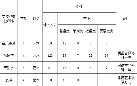 2020年新疆师范大学艺术类专业招生计划一览表