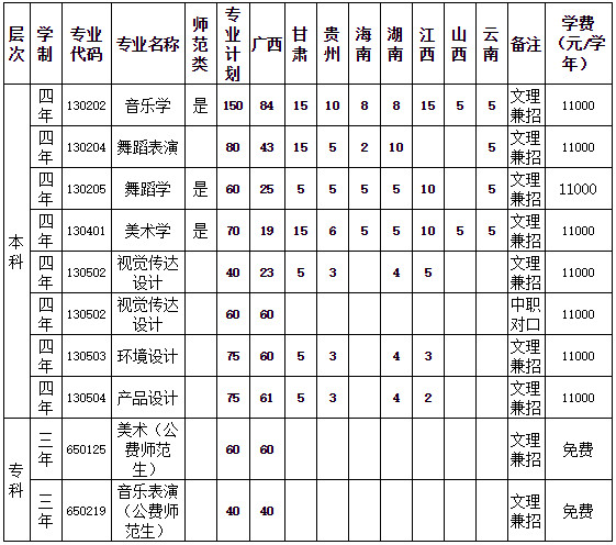 广西民族师范学院2020年艺术类专业招生简章