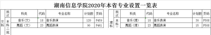 2020年湖南信息学院本省招生计划