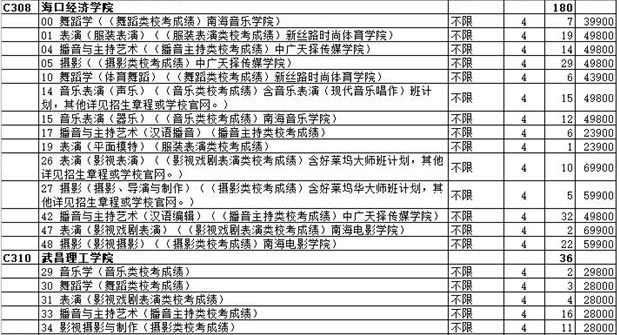 2020年山东省艺术类本科批校考第2次志愿院校专业计划