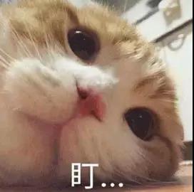 国标舞软度小课堂：竖叉