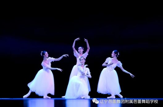 2021级辽宁芭蕾舞团附属芭蕾舞蹈学校招生初试第四站，河南省开封、洛阳、安阳