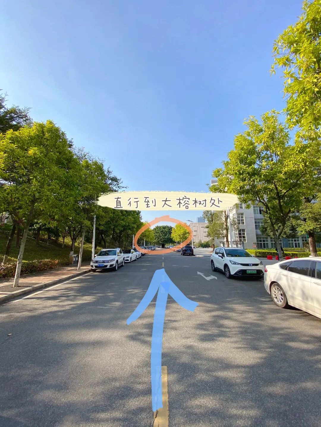 2021年星海音乐学院硕士研究生考试温馨提示