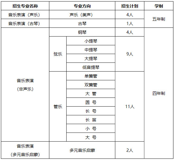 2021年中国人民大学艺术类（音乐表演）专业招生简章  
