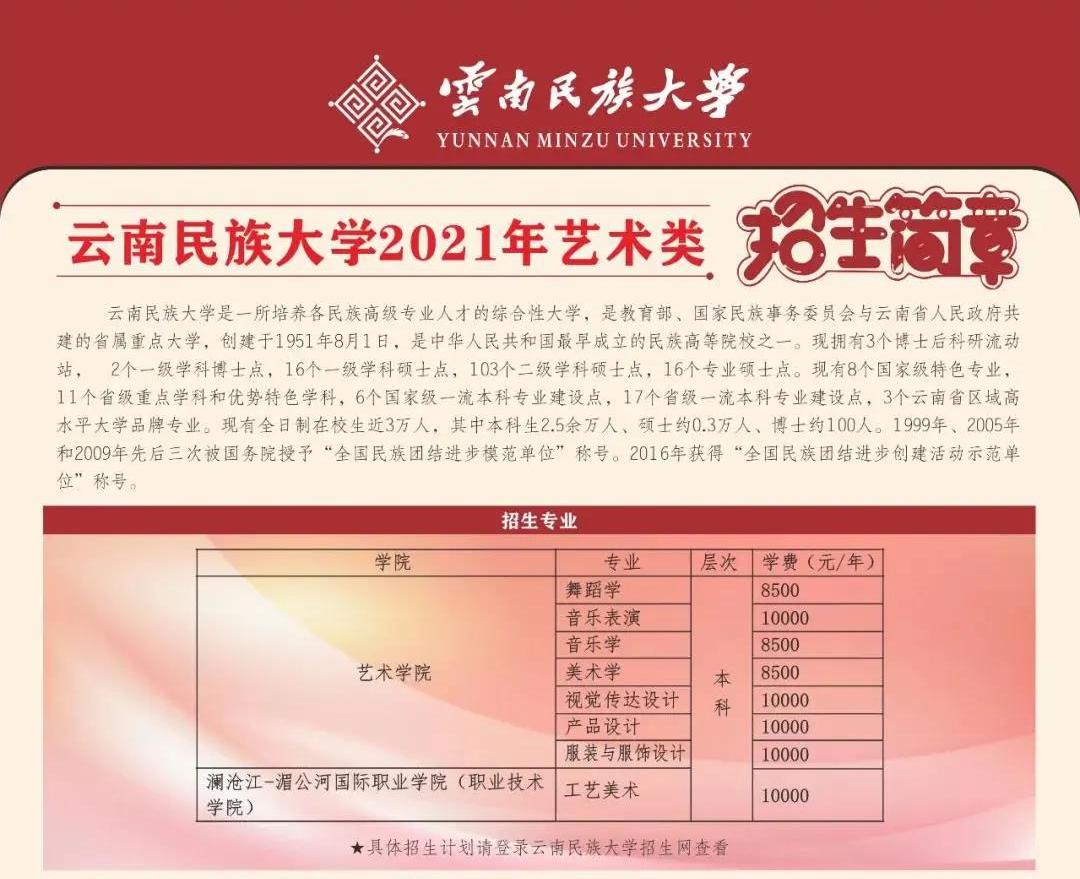 2021年云南民族大学艺术类招生简章