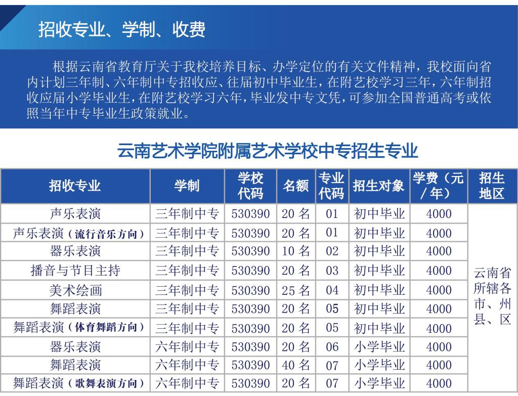 2021年云南藝術(shù)學(xué)院附屬藝術(shù)學(xué)校招生專業(yè)考試網(wǎng)絡(luò)考試方案