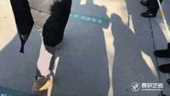 独家解析！河北省的学生如何参加舞蹈艺考？