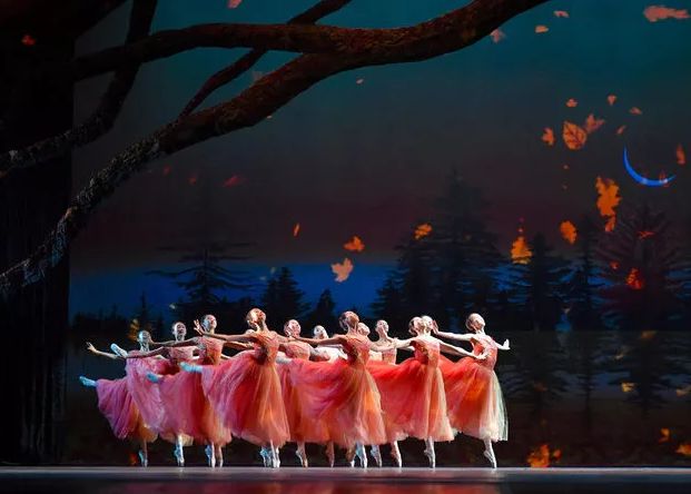 2021年辽宁芭蕾舞团附属芭蕾舞蹈学关于全国总初试及复试重要通知