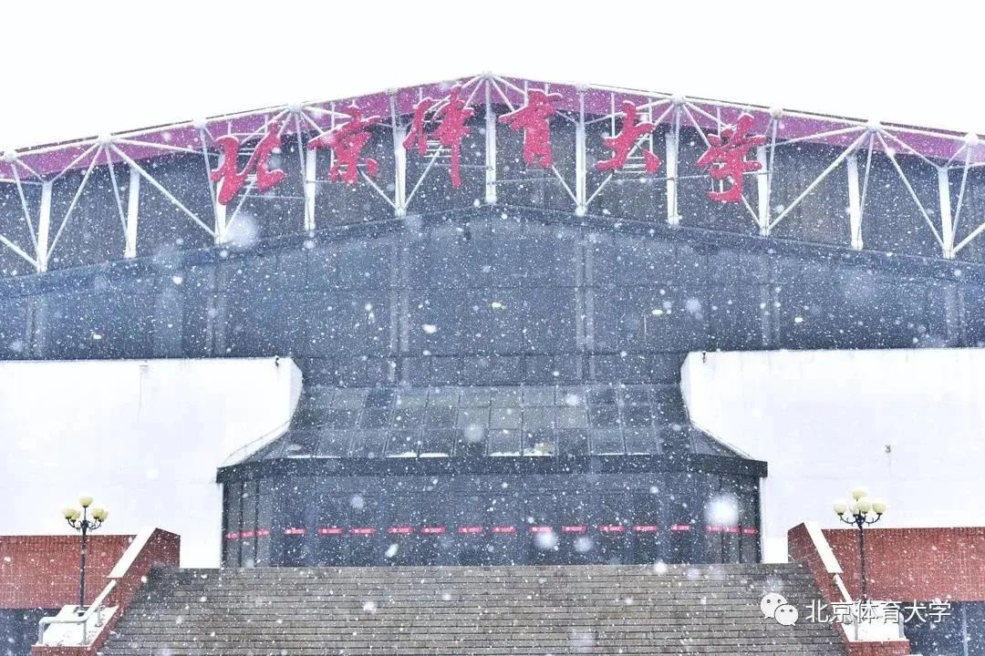 大学体育无数（大学体育要求严格

吗）《大学体育有要求吗》